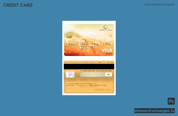 Beispielvorschau der Imperial Bank Visa Electron-Karte in Südafrika